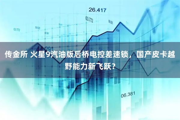 传金所 火星9汽油版后桥电控差速锁，国产皮卡越野能力新飞跃？