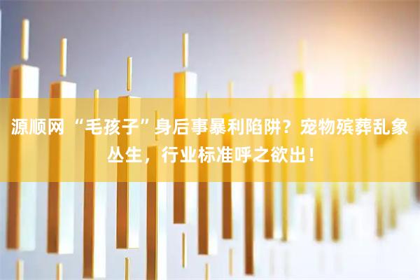 源顺网 “毛孩子”身后事暴利陷阱？宠物殡葬乱象丛生，行业标准呼之欲出！